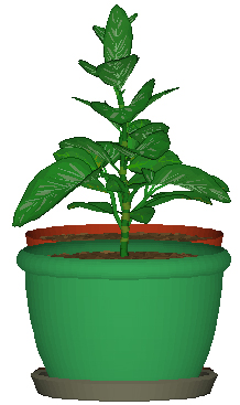DesktopPlant(桌面植物)